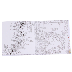PHP 310 HengSong Drawing Books Secret Garden