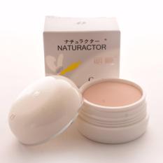 Naturactor No.151 Cover Face Concealer Foundation 20g Philippines