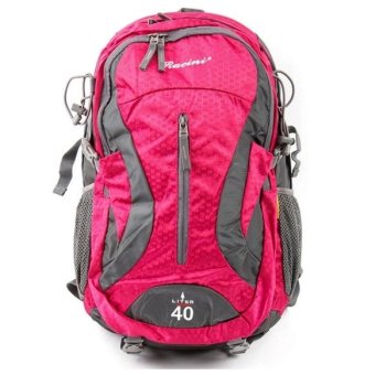 Racini 40-374 Mountaineering Backpack (Dark Gray/Mold Green)