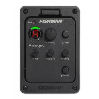 Enya ED-40c With Fishman Presys June 2018 - 5 Enya ED-40c with Fishman Presys - 5
