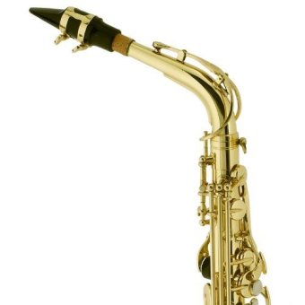 Thomson Tenor Saxophone (Gold) June 2018 - 3 Thomson Tenor Saxophone (Gold) - 3