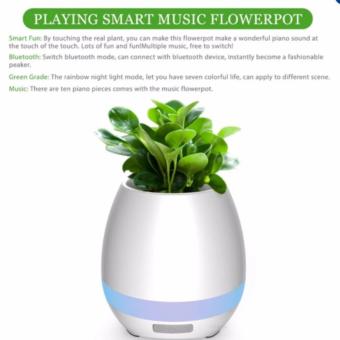 Portable Smart Bluetooth Music Flower Pots Speaker Plastic ColorfulLight Pot De Fleur Loudspeaker For Home Office Decoration - Intl June 2018 - 5 Portable Smart Bluetooth Music Flower Pots Speaker Plastic ColorfulLight Pot De Fleur Loudspeaker for Home Office Decoration - intl - 5