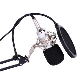 Professional Studio Broadcasting Recording Condenser Microphone Mic Kit Set 3.5mm With Shock Mount Adjustable Suspension Scissor Arm Stand Mounting Clamp Pop Filter Outdoorfree - Intl June 2018 - 3 Professional Studio Broadcasting Recording Condenser Microphone Mic Kit Set 3.5mm with Shock Mount Adjustable Suspension Scissor Arm Stand Mounting Clamp Pop Filter Outdoorfree - intl - 3