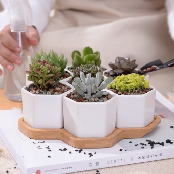 7+1 Pcs/set Decorative Geometry Hexagon White Ceramic SucculentPlant Pot Porcelain Flower Pot Zakka Home Decor(7 Pots+1 Tray) -intl June 2018 - 3 7+1 pcs/set Decorative Geometry Hexagon White Ceramic SucculentPlant Pot Porcelain Flower Pot Zakka Home Decor(7 pots+1 tray) -intl - 3