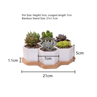 7+1 Pcs/set Decorative Geometry Hexagon White Ceramic SucculentPlant Pot Porcelain Flower Pot Zakka Home Decor(7 Pots+1 Tray) -intl June 2018 - 4 7+1 pcs/set Decorative Geometry Hexagon White Ceramic SucculentPlant Pot Porcelain Flower Pot Zakka Home Decor(7 pots+1 tray) -intl - 4