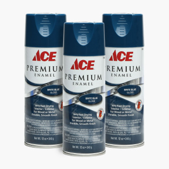 Ace Premium Enamel Spray Paint Exterior/Interior Antique White ...