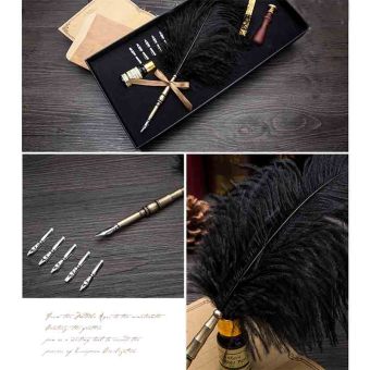 Antique Nature Feather Dip Pen Set English Calligraphy Carved PenFountain Pens(Earl) June 2018 - 3 Antique Nature Feather Dip Pen Set English Calligraphy Carved PenFountain Pens(Earl) - 3