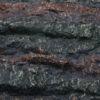 Aquarium Reptile Vivarium 3D Natural Look Realistic Polystyren?eBackground - Intl April 2018 - 5 Aquarium Reptile Vivarium 3D Natural Look Realistic Polystyren?eBackground - intl - 5