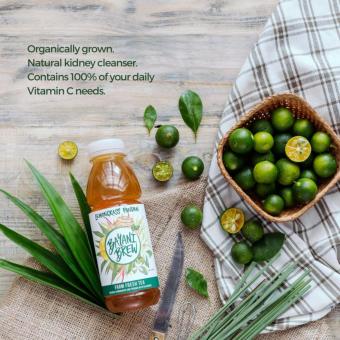 Bayani Brew 4-Pack Lemongrass Pandan (400ml X 4pcs) June 2018 - 2 Bayani Brew 4-Pack Lemongrass Pandan (400ml x 4pcs) - 2