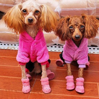 Cute Chihuahua Dog Shoes Puppy Warm Boots Shoes Color:Pink Size:S -intl June 2018 - 3 Cute Chihuahua Dog Shoes Puppy Warm Boots Shoes color:Pink size:S -intl - 3