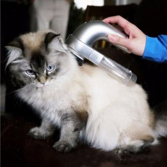 Electric Dog Cat Pet Hair Fur Grooming Clipper ShaverTrimmerScissors Remover - Intl June 2018 - 5 Electric Dog Cat Pet Hair Fur Grooming Clipper ShaverTrimmerScissors Remover - intl - 5