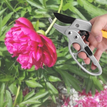 High Carbon Steel Pruning Shears Cutter Gardening Plant Scissor Branch Pruner Trimmer Tools - Intl June 2018 - 2 High Carbon Steel Pruning Shears Cutter Gardening Plant Scissor Branch Pruner Trimmer Tools - intl - 2