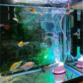 LED Air Curtain Stone Bubble Disk And Aquarium Light Colorful Bubble Lamp Submersible Light Fish Tank Aquatic Accessory - Intl April 2018 - 4 LED Air Curtain Stone Bubble Disk and Aquarium light Colorful Bubble Lamp Submersible Light Fish Tank Aquatic Accessory - intl - 4