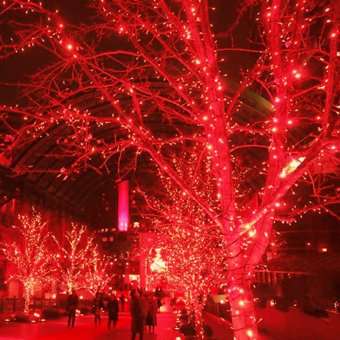 Led String Fairy Lights 10M 33ft 5V USB Powered (Red) - Intl April 2018 - 2 Led String Fairy Lights 10M 33ft 5V USB Powered (Red) - intl - 2