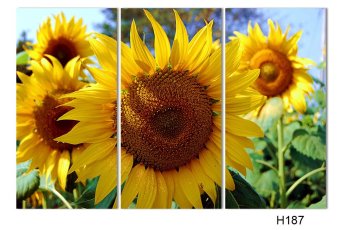 Luxry 3 Panel Modern Painting Home Decorative Art Picture Paint OnCanvas Prints Painting Sunflower The Field (No Frame) June 2018 - 2 Luxry 3 Panel Modern Painting Home Decorative Art Picture Paint onCanvas Prints painting sunflower The field (No frame) - 2