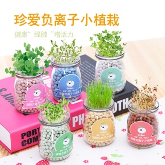 OJ Creative Diy Anion Hydroponic Pot Office Desktop Hydroponicceramic Carbon Ball Anti-radiation Mini Small Potted Plant - Intl June 2018 - 3 OJ creative diy anion hydroponic pot office desktop hydroponicceramic carbon ball anti-radiation mini small potted plant - intl - 3