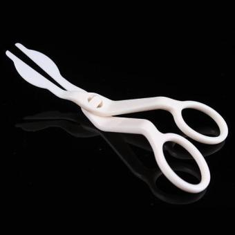 Russian Pastry Decorating Tips Baking Tools For Cake 12pcs/setNozzles - Intl July 2018 - 4 Russian Pastry Decorating Tips Baking Tools for Cake 12pcs/setNozzles - intl - 4