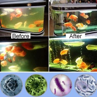 Waterproof Aquarium Fish Tank Submersible Light UV Sterilizer Lamp For All Water Size:US Plug - Intl June 2018 - 3 Waterproof Aquarium Fish Tank Submersible Light UV Sterilizer Lamp for All Water size:US Plug - intl - 3