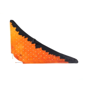 OH Remote Control RC Inflatable Balloon Air Swimmer Flying Nemo Clown Fish Blimp April 2018 - 2 OH Remote Control RC Inflatable Balloon Air Swimmer Flying Nemo Clown Fish Blimp - 2