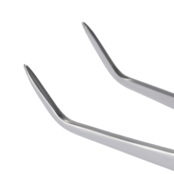 Cuspidal Dental Forcep For Teeth Care Stainless Steel DentistryInstrument Dental Plier Professional Dental Carving Kit Silver June 2018 - 4 Cuspidal Dental Forcep for Teeth Care Stainless Steel DentistryInstrument Dental Plier Professional Dental Carving Kit Silver - 4