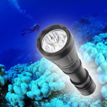 6000 Lumens CREE XM-L T6 Scuba Diving Flashlight Torch - Intl April 2018 - 2 6000 Lumens CREE XM-L T6 Scuba Diving Flashlight Torch - intl - 2