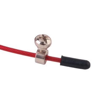 LALANG 3m Metal Bearing Skipping Rope Speed Cable Jump Rope FitnessSports (Red) April 2018 - 4 LALANG 3m Metal Bearing Skipping Rope Speed Cable Jump Rope FitnessSports (Red) - 4