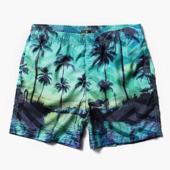 Coco Republic Mens Board Shorts (Turquoise) | Lazada PH