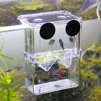 4 In1 Aquarium Fish Fry Breeding Hatchery Incubator Isolation Box Tank Shrimp Small - Intl June 2018 - 2 4 in1 Aquarium Fish Fry Breeding Hatchery Incubator Isolation Box Tank Shrimp Small - intl - 2