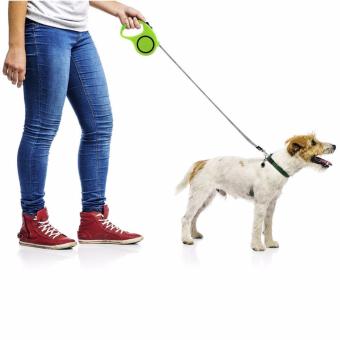Flexi Explore Retractable Dog Leash Pink June 2018 - 3 Flexi Explore Retractable Dog Leash Pink - 3