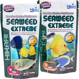Hikari Seaweed Extreme For Marine Herbivores (100g) Small SinkingPellet Japan Made Fish Food July 2018 - 3 Hikari Seaweed Extreme For Marine Herbivores (100g) Small SinkingPellet Japan Made Fish Food - 3