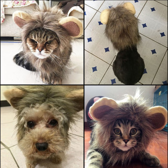 Hot Sales Pet Hat Costume Lion Mane Cat Wig Halloween Dress Up WithEars Pet Hat - Gold - Intl April 2018 - 5 Hot Sales Pet Hat Costume Lion Mane Cat Wig Halloween Dress Up WithEars Pet hat - Gold - intl - 5
