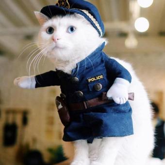 Pet Policeman Pet Dog Cat Costume Jeans Clothes Funny Apperal 2 -intl June 2018 - 2 Pet Policeman Pet Dog Cat Costume Jeans Clothes Funny Apperal 2 -intl - 2